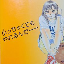 日本で最高の最小プレーヤー あひるの空の名言 名セリフ集 名言まとめドットコム