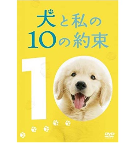 犬と私の10の約束 の名言 名場面集 名言まとめドットコム 名言まとめドットコム